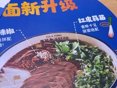 -马记永·兰州牛肉面(3019君尚店)