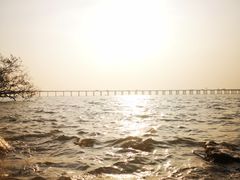 -宝安西湾红树林湿地公园