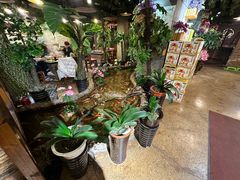 -回忆以前铁锅炖鱼村(一部六号街店)