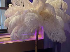 -Darling Queen·Mini·Live·House