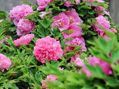 -大钟寺古钟博物馆