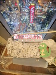 -圣贝拉母婴护理中心(广州瑰丽店)