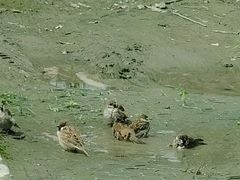 -洪湖家庭农场·团建·露营·会议