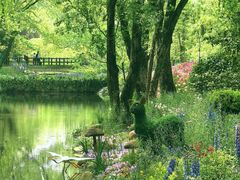 -上海共青森林公园