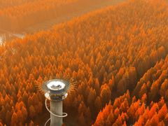 -黄海国家森林公园