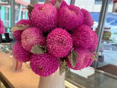 -君悦酒店·大堂酒吧·高空下午茶·暮色微醺