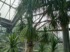 -南山植物园