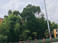 -上海玛雅海滩水公园