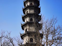 -冶父山国家森林公园