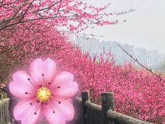 -重庆悦来温德姆酒店