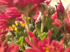 -香山公园-东宫门售票处