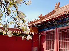 -故宫博物院(故宫)