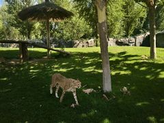 -北京野生动物园