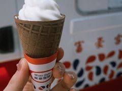 -富豪雪糕车流动点(尖沙咀店)