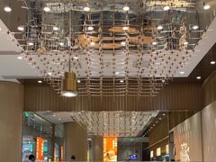 -老碗会·陕西手工面(前海世茂店)