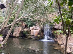 -深业半汤御泉庄温泉