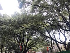 -杭州半山国家森林公园