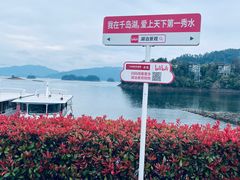 -千岛湖东南湖区
