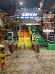 -卡通尼·Safari非洲探索乐园·生日会(金桥国际商业广场店)