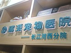 -瑞派长江宠物医院·猫科·外科·24小时夜护(谊城公寓分院)