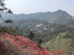 -木兰云雾山