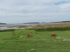 -长江澳风力发电景观区