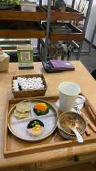 -芳香乐府疗愈空间·SPA·冥想