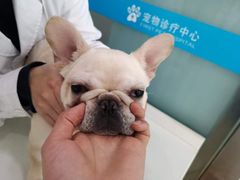 -菲尔斯特宠物医院