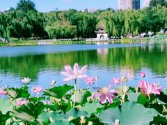 -陶然亭公园