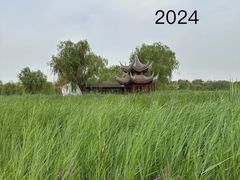 -水西公园