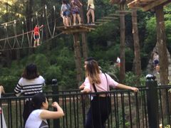 -梦幻奥陶纪景区