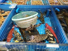 -渔港甄宴·海鲜·地标烟台菜(金沙滩店)