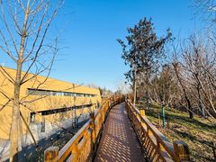 -北京大葆台遗址博物馆