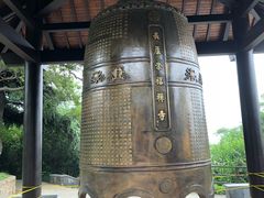 -太子山公园(园东路)