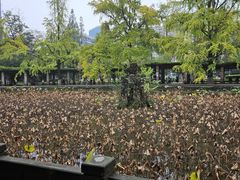 -四川大学(华西校区)