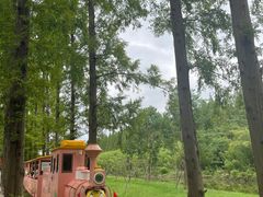 -黄海国家森林公园