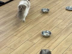 -星巴克(佛山顺德大融城店)