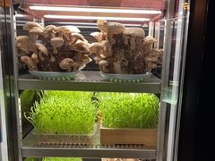 -捞王猪肚鸡火锅(金华义乌之心店)