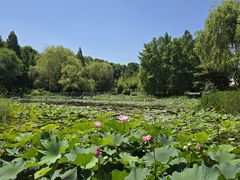 -郑州植物园