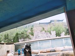 -东方熊牧场