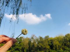 -新江湾城公园