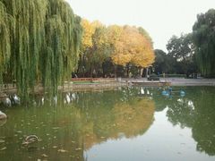 玲珑公园-玲珑塔公园