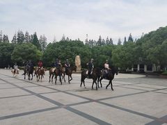 -上海长兴岛郊野公园