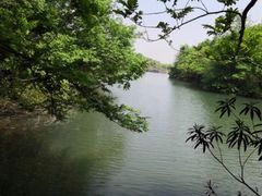 -白马涧龙池景区