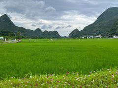-万峰林风景区