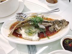 -渔意楼·驰名沙田乳鸽(五羊店)