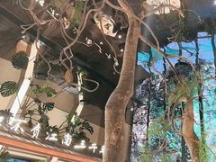 -桂满陇·海市蜃楼·黑金(国金店)