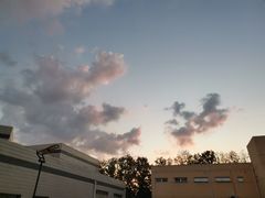 -徐州胡氏火烧(东大成贤店)