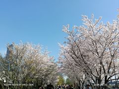 -白鹭园