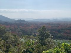 -海南霸王岭国家森林公园